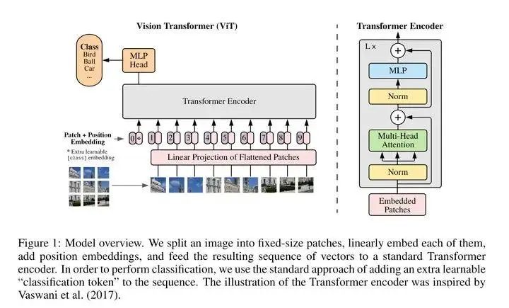 InternLM/InternVL系列多模态大模型核心技术解析_Dynamic_22