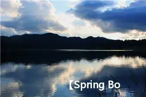 【Spring Boot 3】【Web】返回 XML 数据