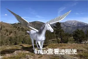 linux查看进程使用的端口号信息