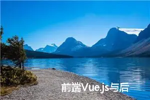 前端Vue.js与后端Flask/Django协同开发指南