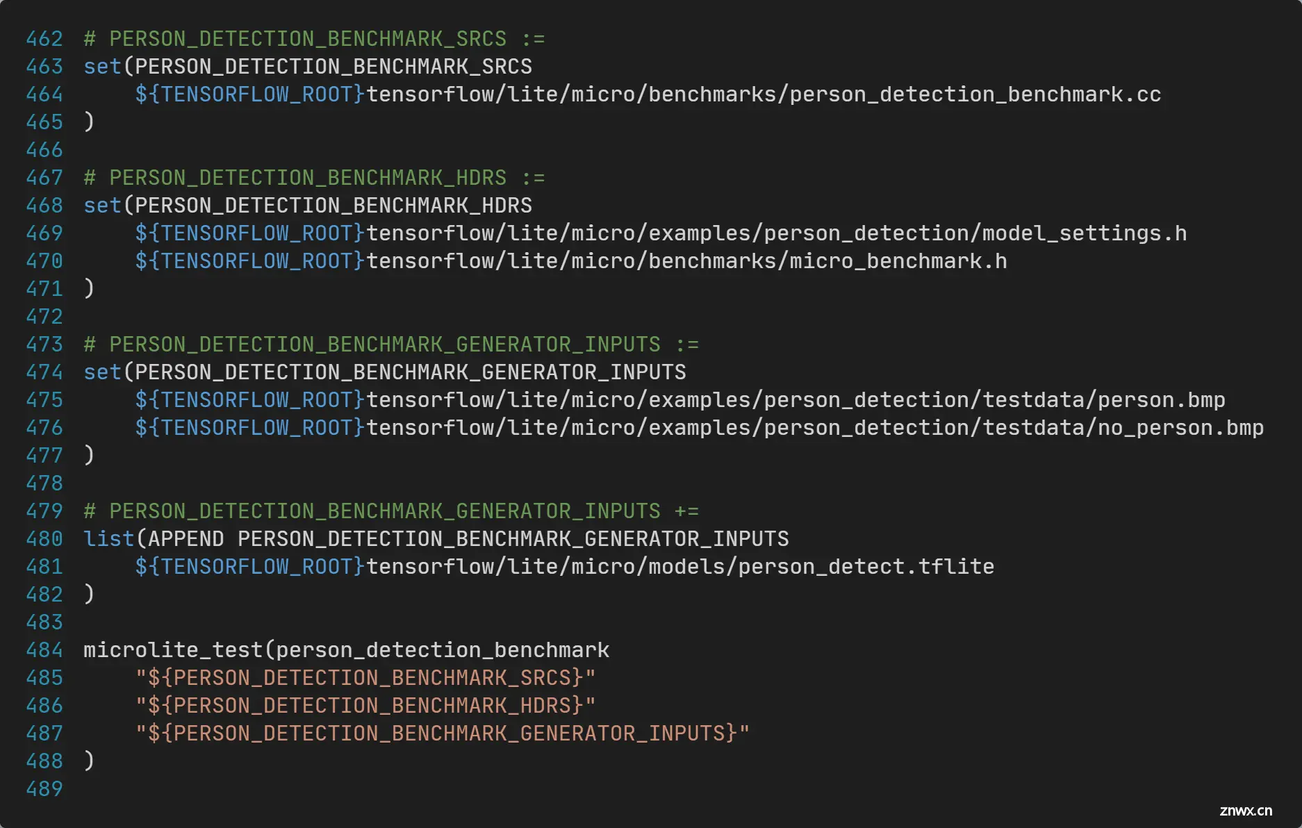 TFLM-person_detection