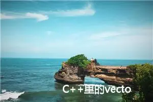 C++里的vector详细讲解