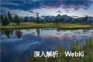 深入解析：WebKit的JavaScript引擎与V8引擎的比较研究