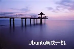 Ubuntu解决开机黑屏