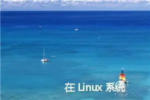 在 Linux 系统中开放端口 