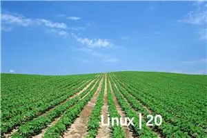 Linux | 20 个常用的 Linux 基本指令