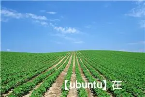 【ubuntu】在 Ubuntu 上设置静态 IP 地址