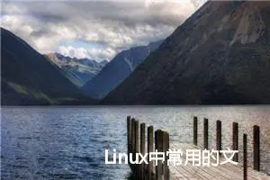 Linux中常用的文本编辑器