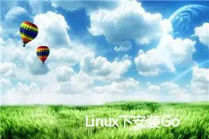 Linux下安装Go语言环境的详细指南