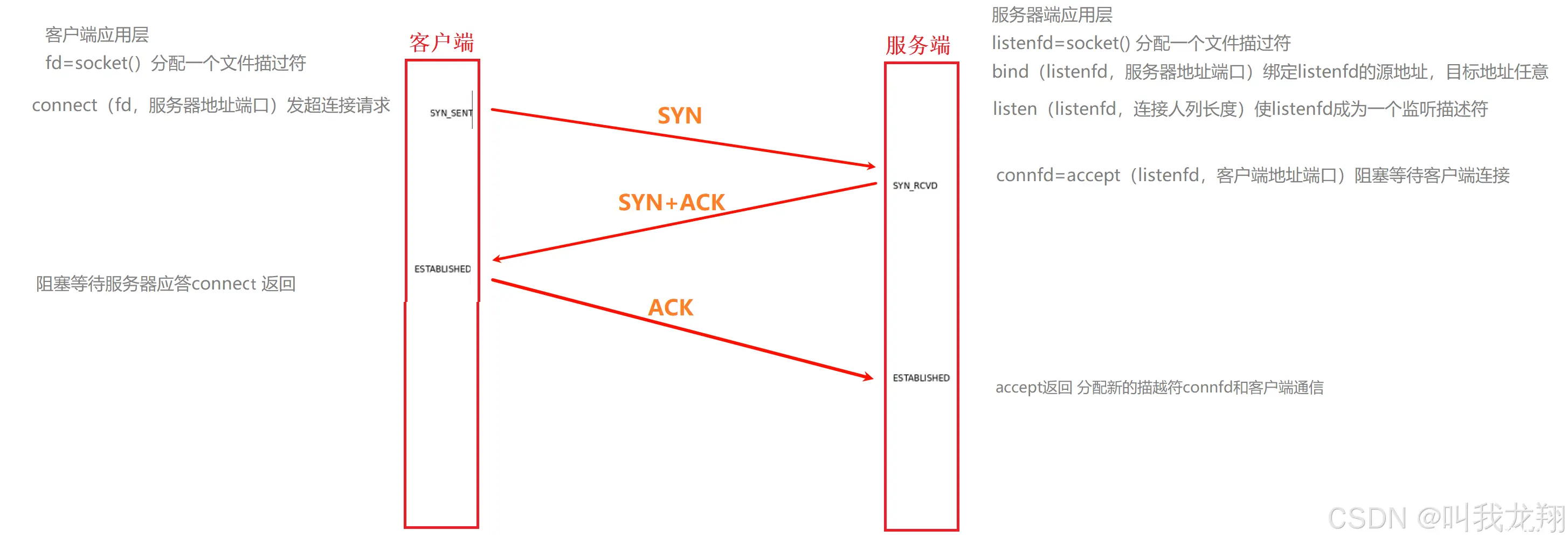 【计网】从零开始理解TCP协议 --- 熟悉TCP报头结构并理解三次握手与四次挥手