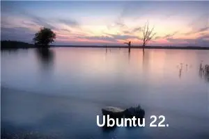 Ubuntu 22.04 安装Oracle 11g Express Edition