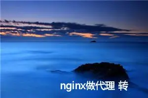 nginx做代理 转发前端请求到后端