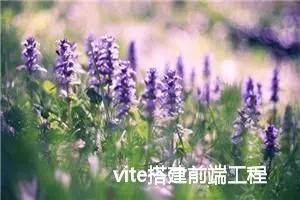 vite搭建前端工程