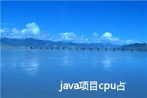 java项目cpu占用高排查方法（chatgpt） 