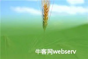 牛客网webserver面试经验