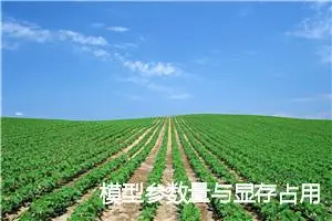 模型参数量与显存占用分析